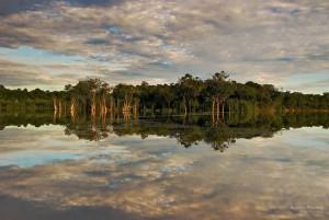 Magjia e Amazonës