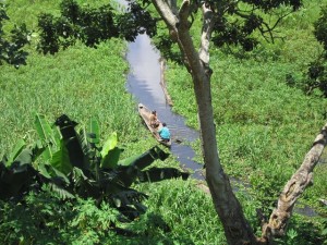 Magjia e Amazonës