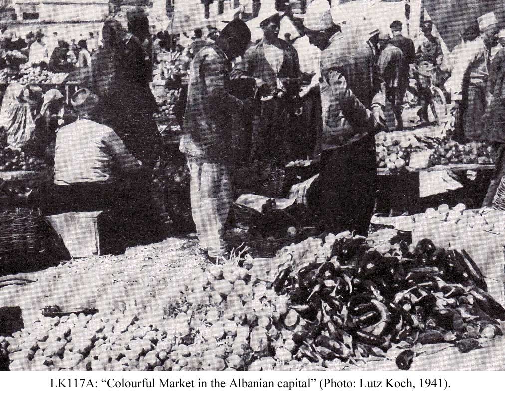 Shqipëria në vitin 1941